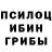 Псилоцибиновые грибы прущие грибы Jeffrey Soreff