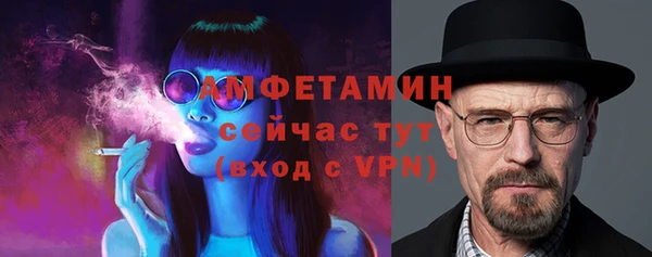 ГАЛЛЮЦИНОГЕННЫЕ ГРИБЫ Горняк