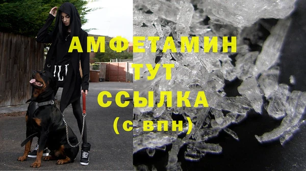 стаф Волосово