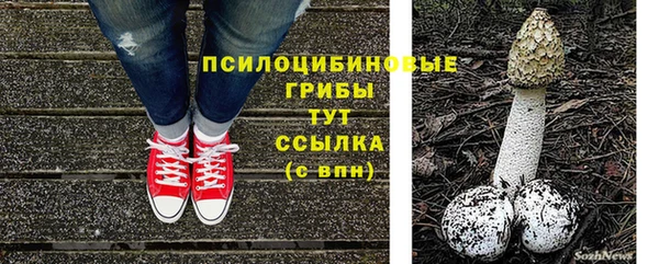 трава Володарск
